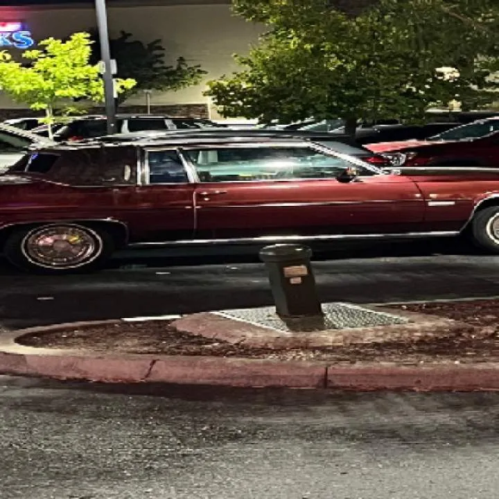 Bormando Photo On Jungo Live