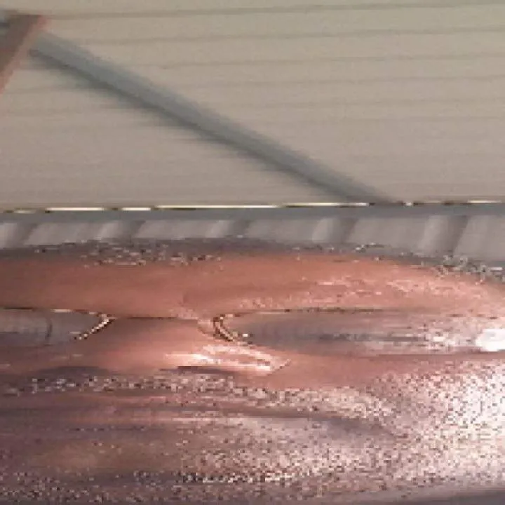 Bhagwan Photo On Jungo Live