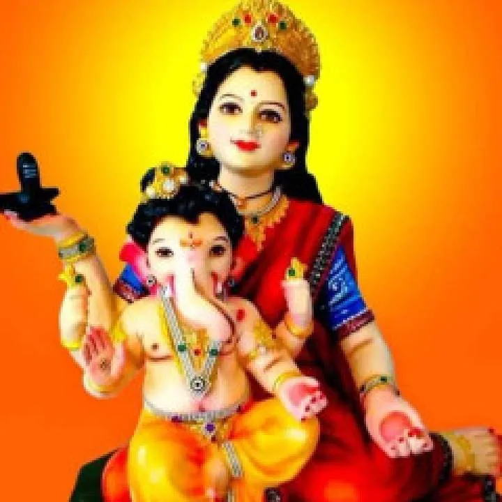 Pravi Photo On Jungo Live