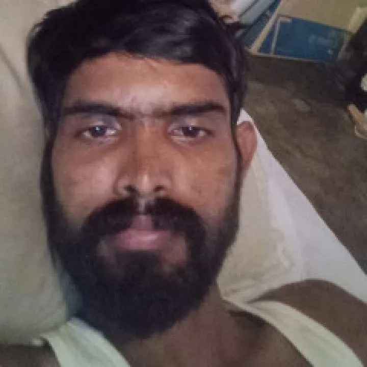 Parsha Photo On Jungo Live