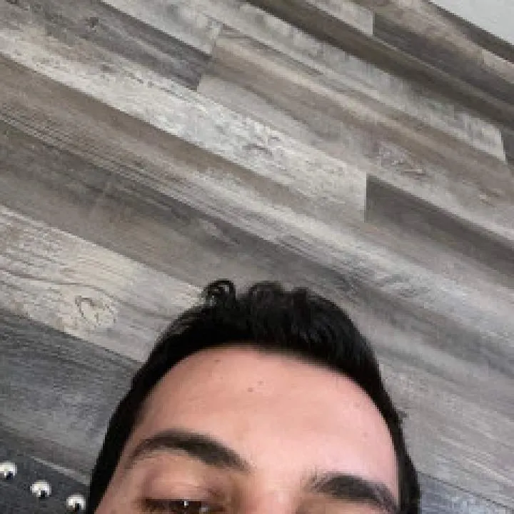 Egged Photo On Jungo Live