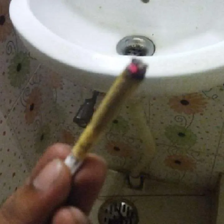 Leon Photo On Jungo Live