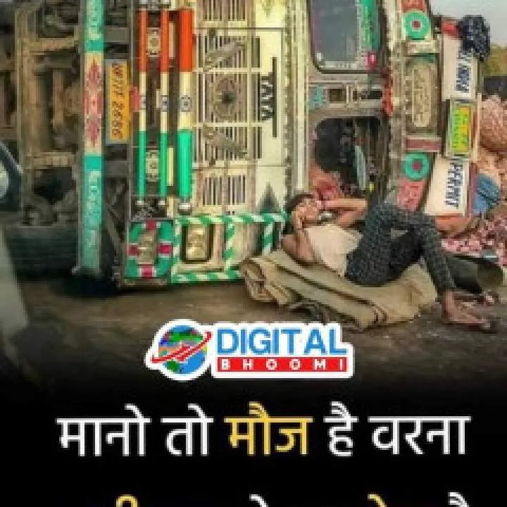 King Of Top Photo On Jungo Live