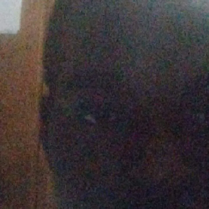 Zachary Photo On Jungo Live