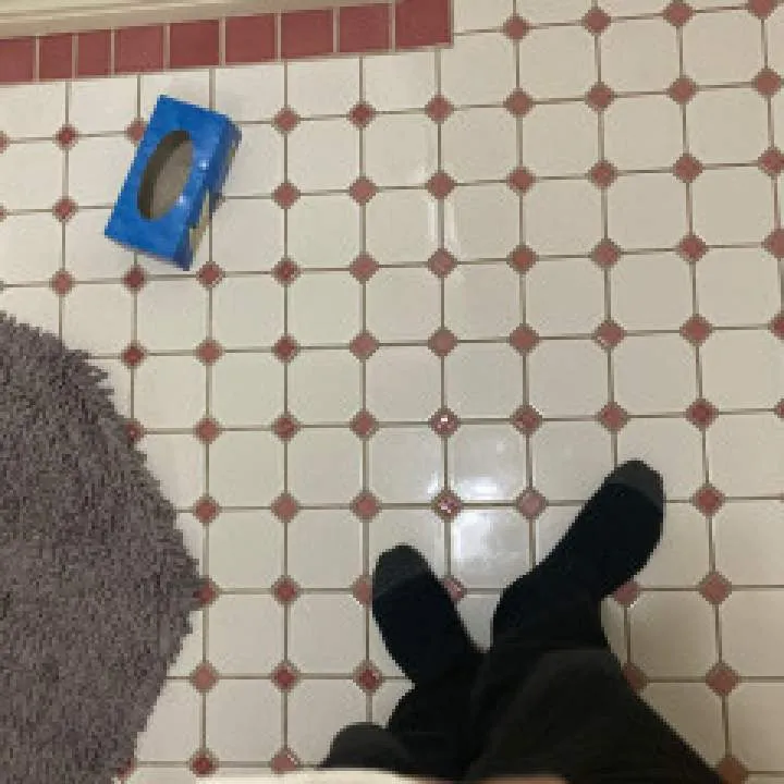 Mooosh Photo On Jungo Live