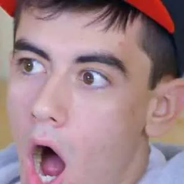 Blue Bird Photo On Jungo Live