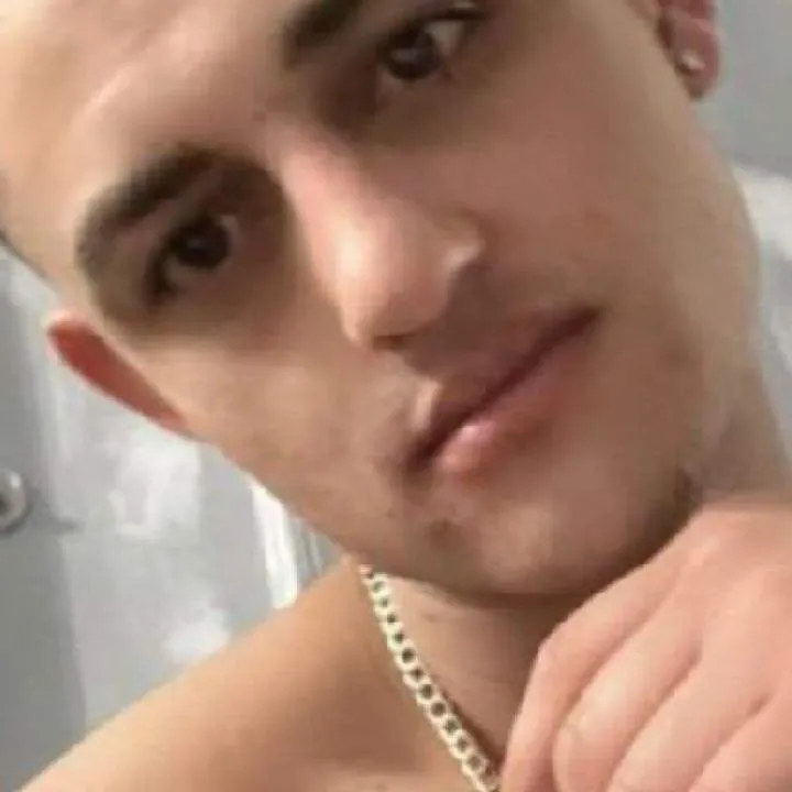 Ant Photo On Jungo Live