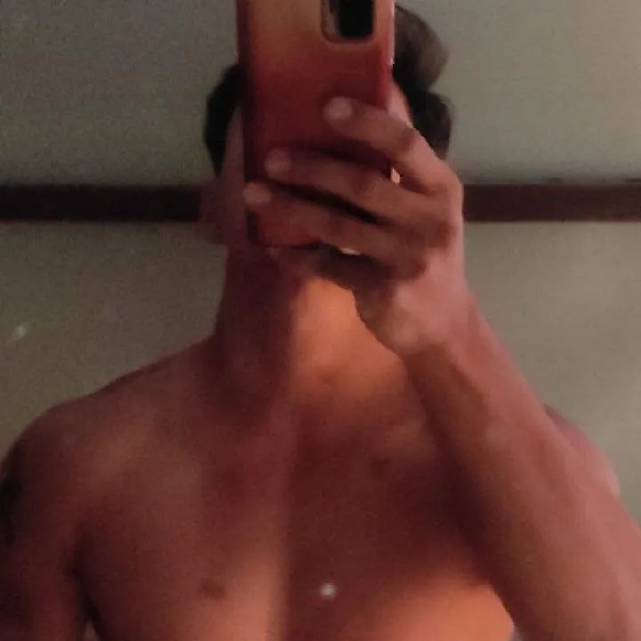 The Bull Photo On Jungo Live