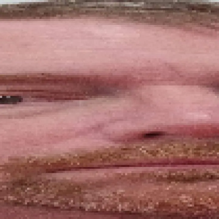 Bouncer Photo On Jungo Live