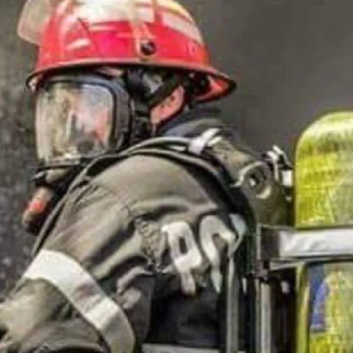 Costel Photo On Jungo Live