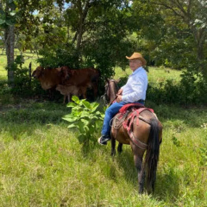 Jota Photo On Jungo Live