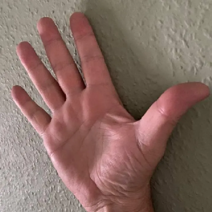 Scandinavian Photo On Jungo Live