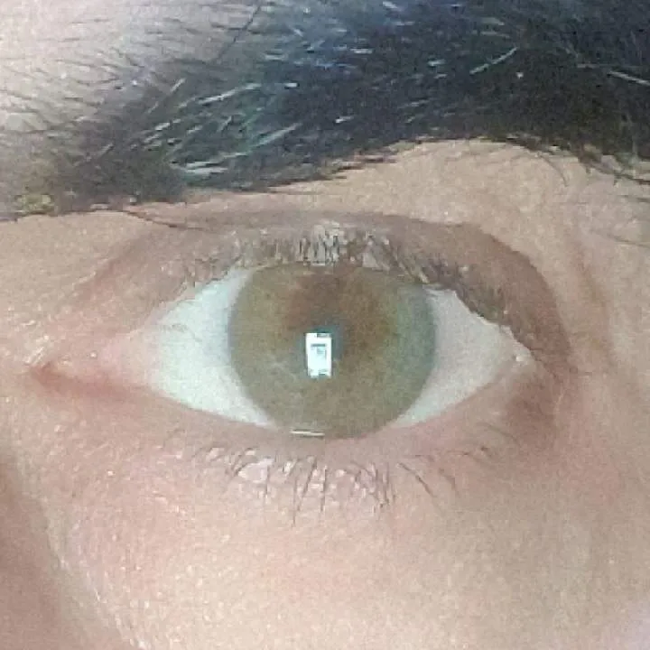 Alex Photo On Jungo Live