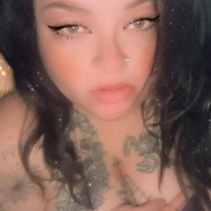 Cherryblossom Photo On Jungo Live