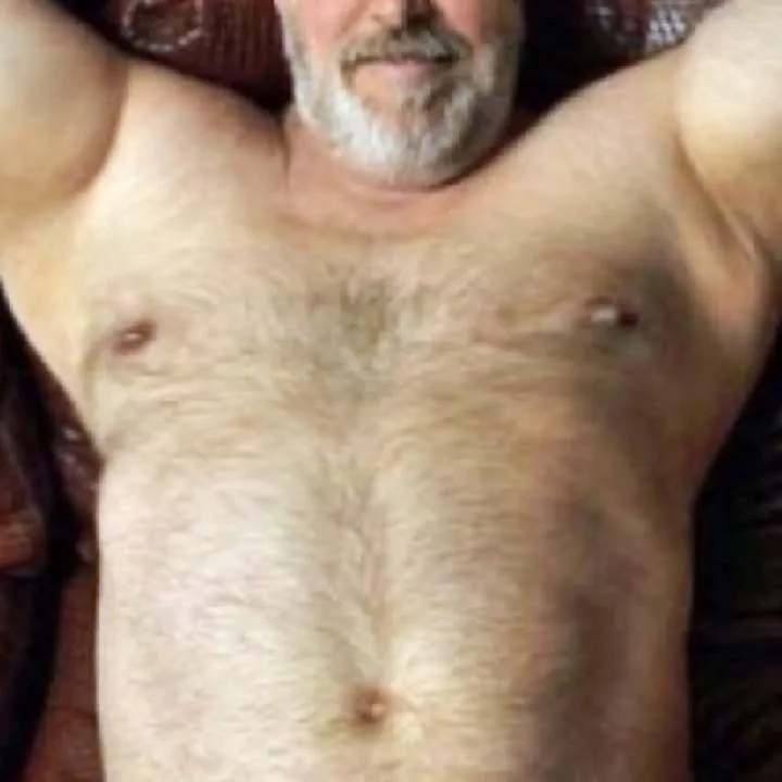 Silverbear.... Photo On Jungo Live