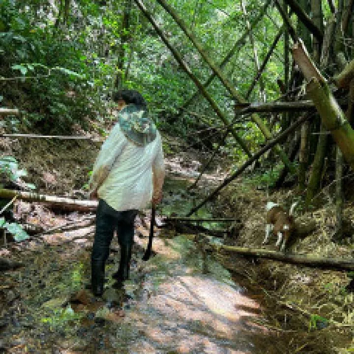 Mike Photo On Jungo Live