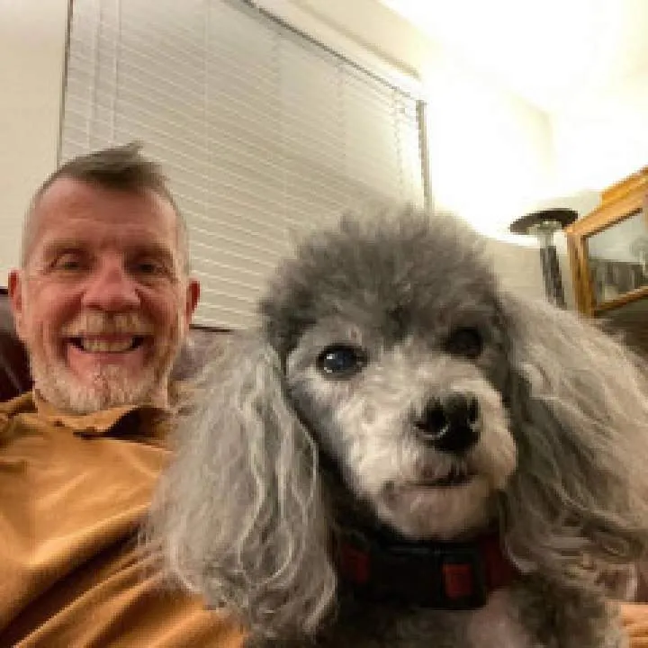 Daredevil........ Photo On Jungo Live