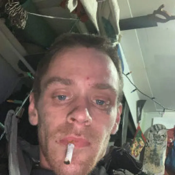 Treee Photo On Jungo Live