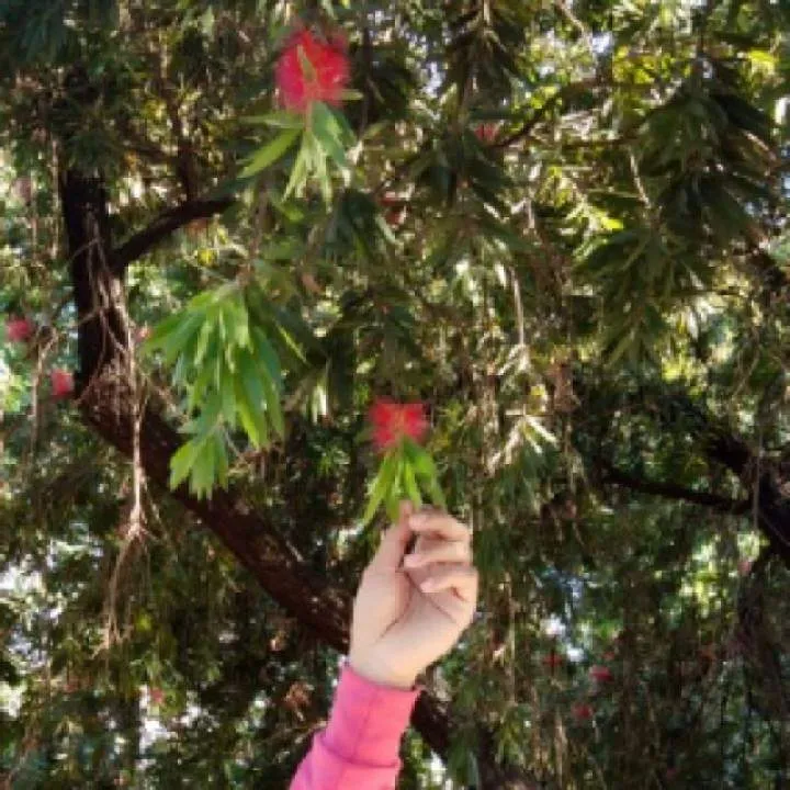 Smael Photo On Jungo Live