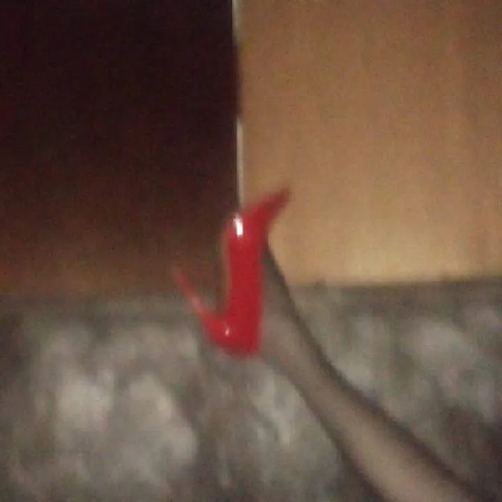 Jennyb Photo On Jungo Live