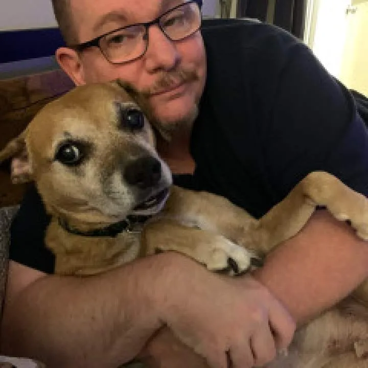 Dc54r Photo On Jungo Live