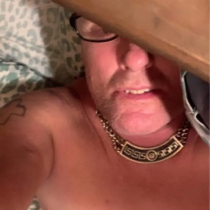 Pipes Photo On Jungo Live