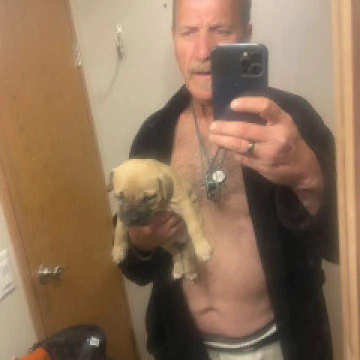 Lucky Colt Photo On Jungo Live