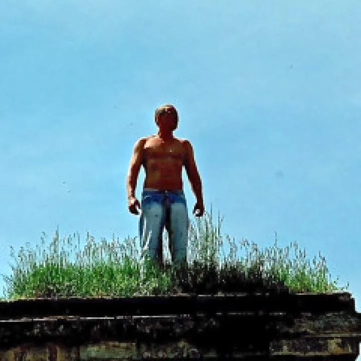 72 Photo On Jungo Live