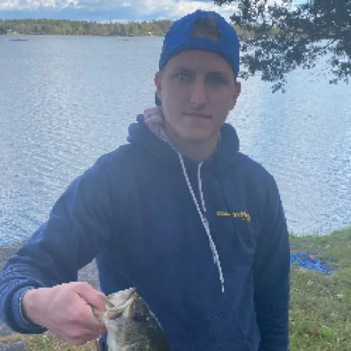 Quinn Photo On Jungo Live