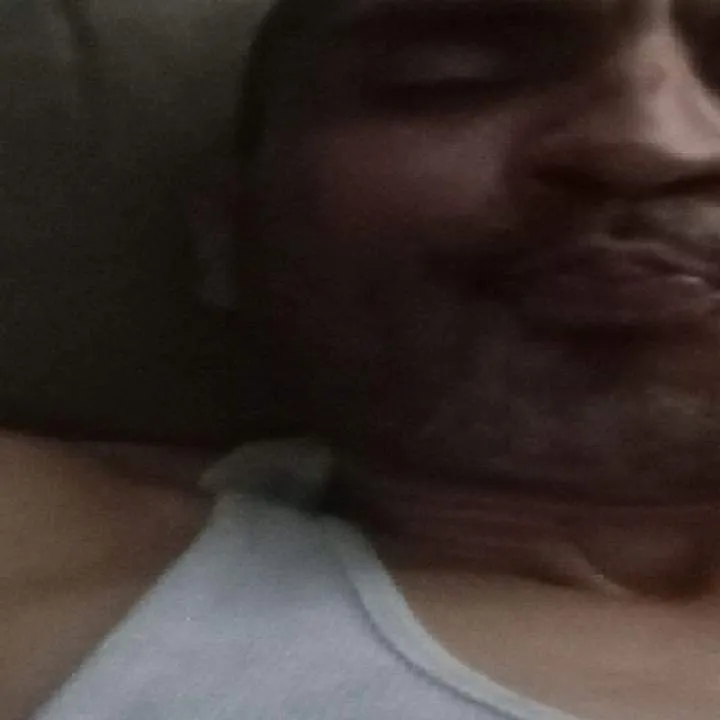 Puss Photo On Jungo Live