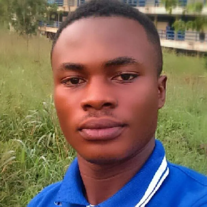 Asparrow Photo On Jungo Live