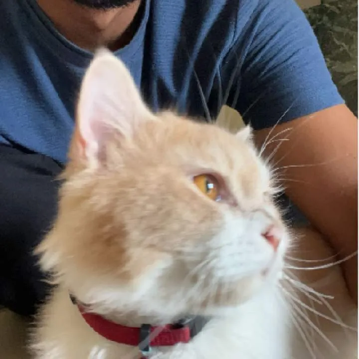 Jerry39 Photo On Jungo Live