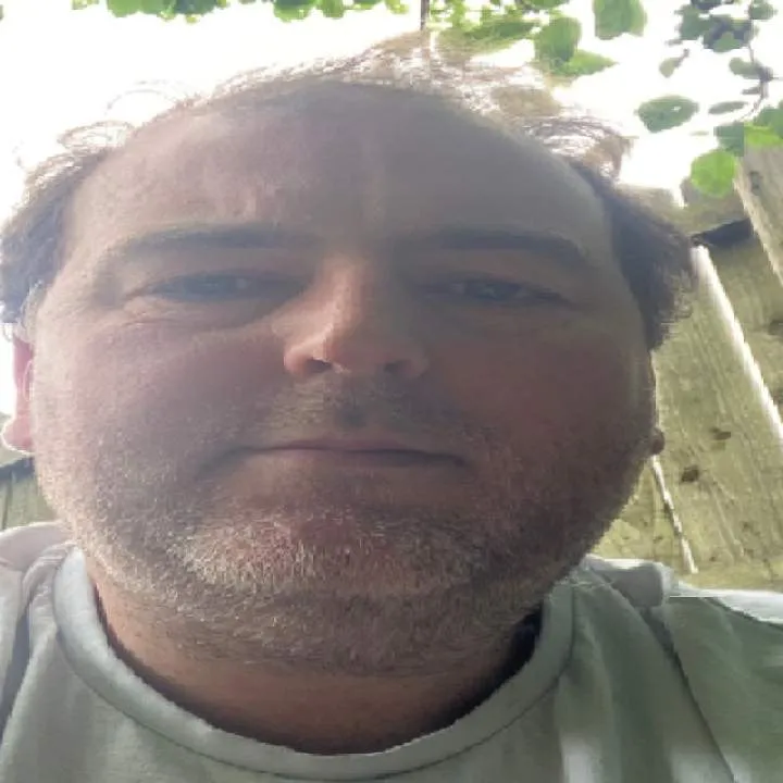 Dandelion Photo On Jungo Live