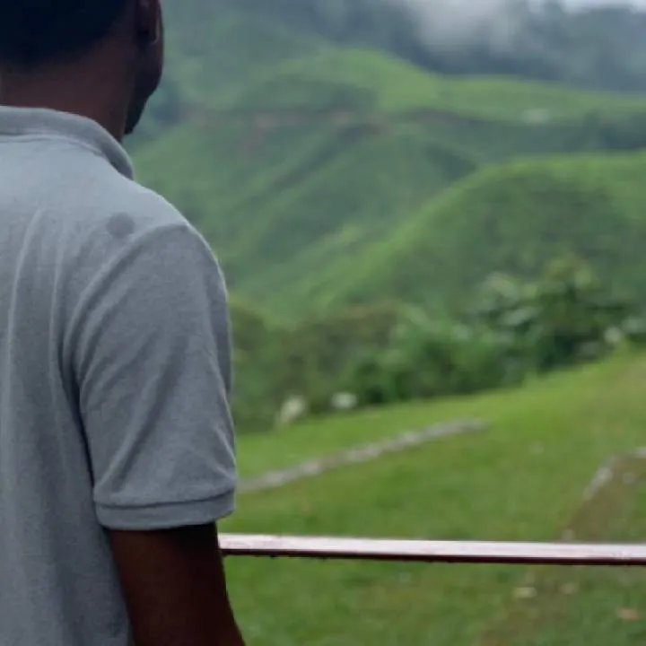 Alep Kamal Photo On Jungo Live