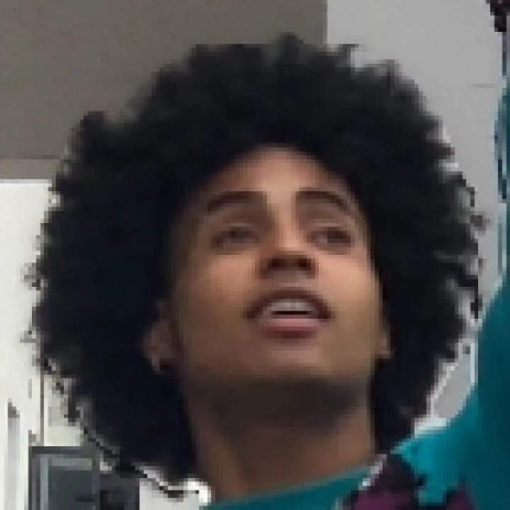 Jade Perch Photo On Jungo Live