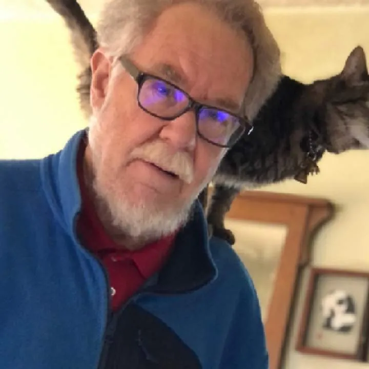 Humping Dog Photo On Jungo Live