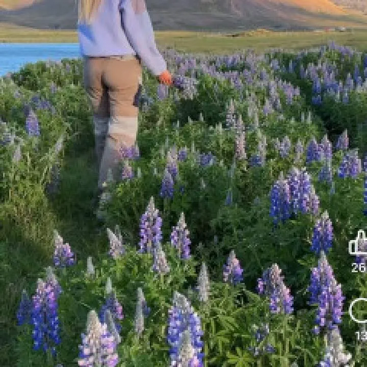 Alex Photo On Jungo Live