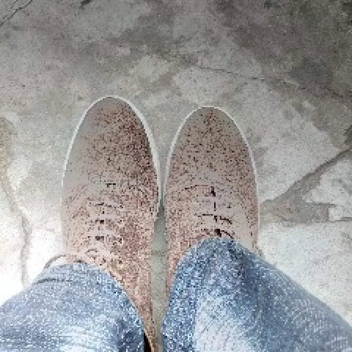 King Photo On Jungo Live