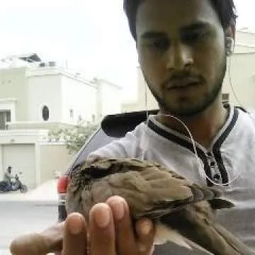 Imran Photo On Jungo Live