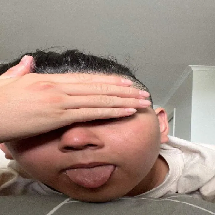 Dogtoilet Photo On Jungo Live