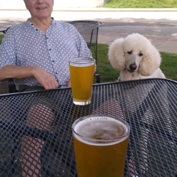 Bigdog Photo On Jungo Live