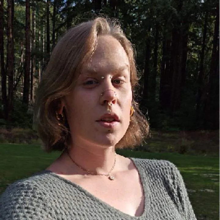 Mayfly Photo On Jungo Live