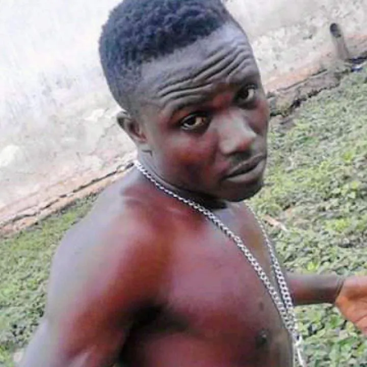 Wisdom Photo On Jungo Live