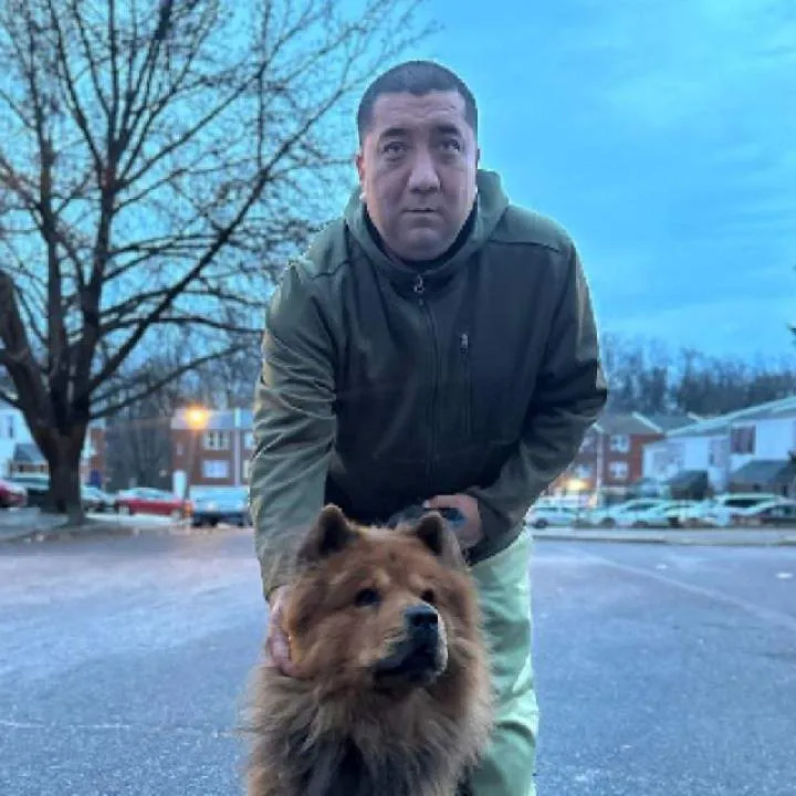 Donik Photo On Jungo Live