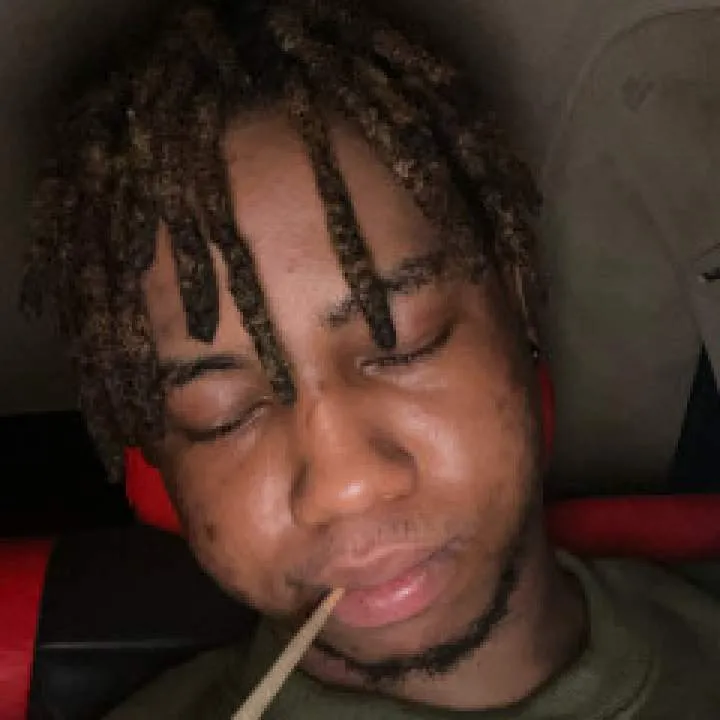 Progress Photo On Jungo Live