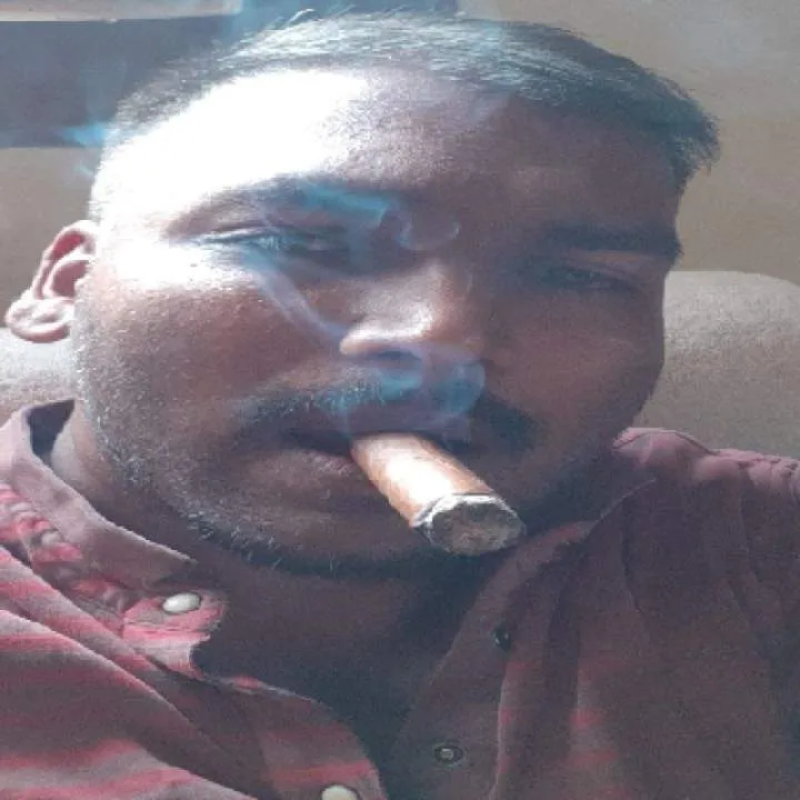 Brasslion Photo On Jungo Live