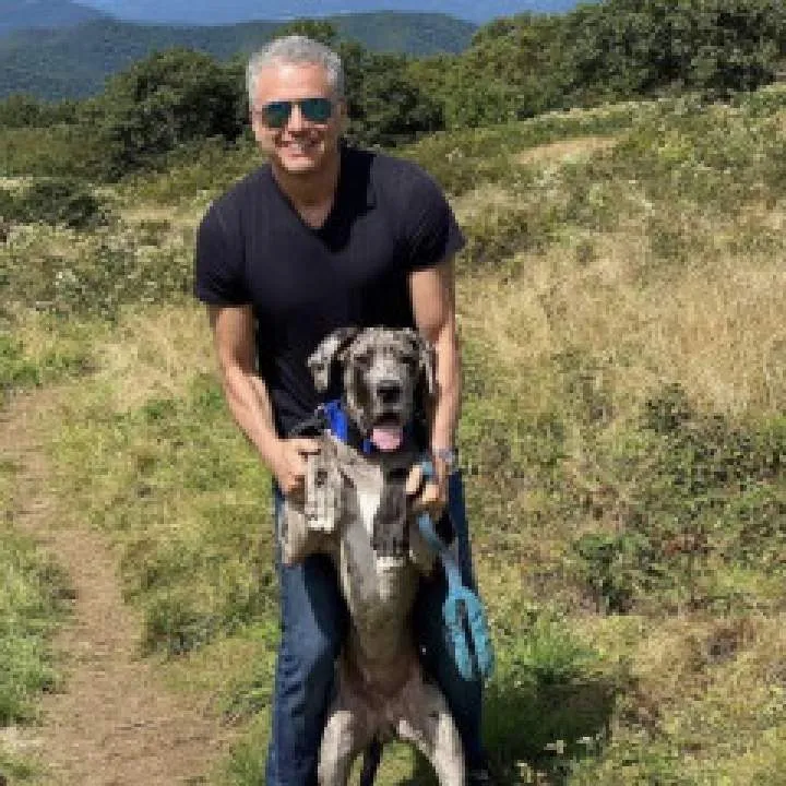 David Photo On Jungo Live