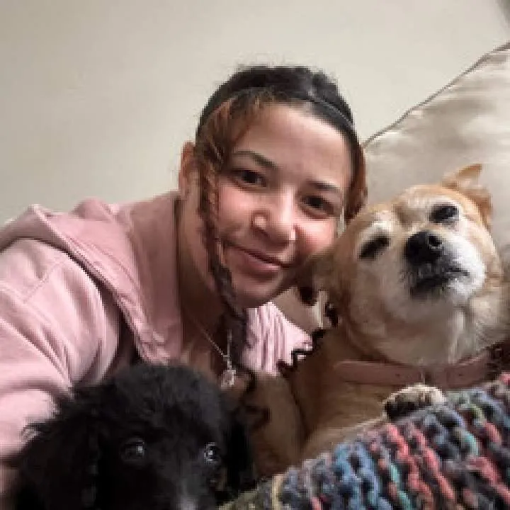 Alexis Photo On Jungo Live