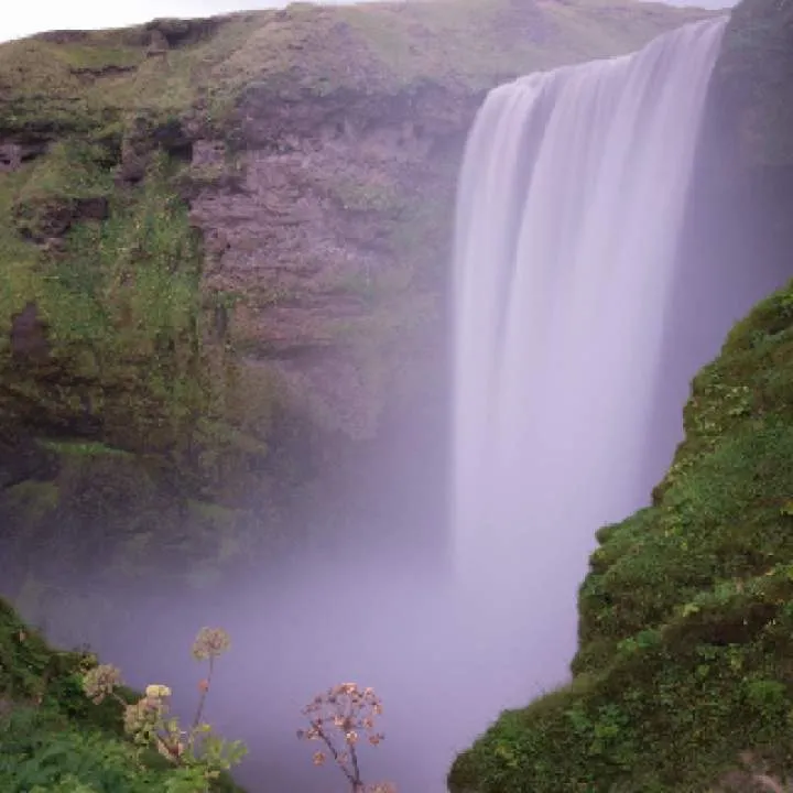 Tazucu_...._04 Photo On Jungo Live