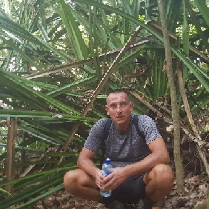 Furgeszarvasok Photo On Jungo Live